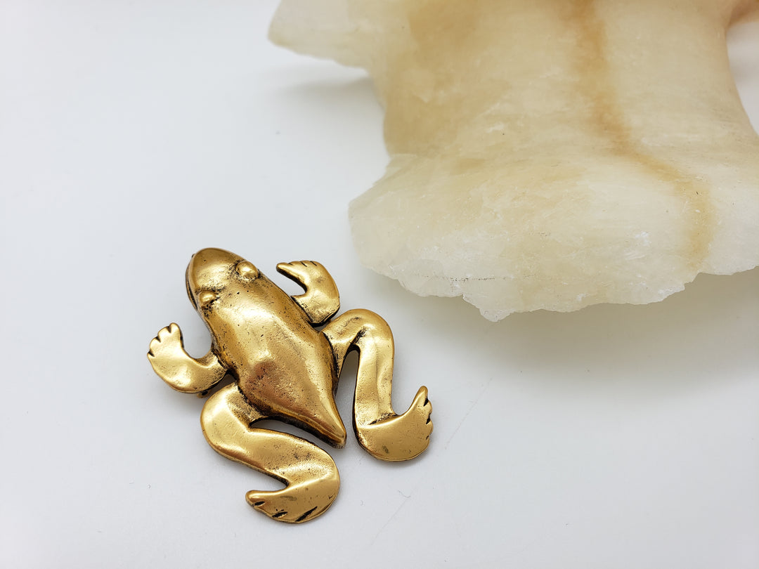Pre-Columbian Frog Pendant and Brooch