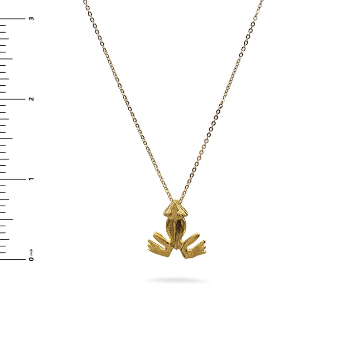 Pre-Columbian Frog Pendant