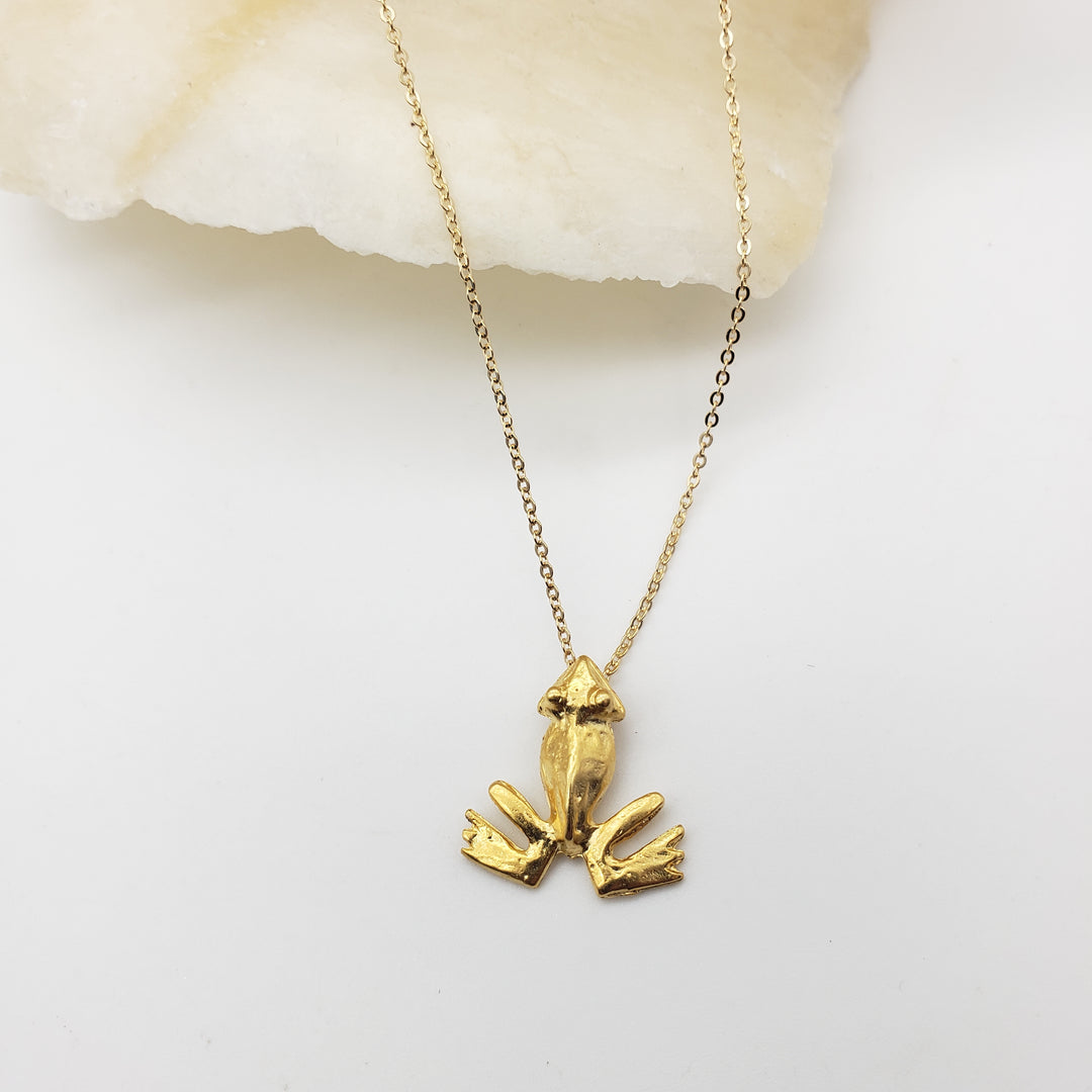 Pre-Columbian Frog Pendant