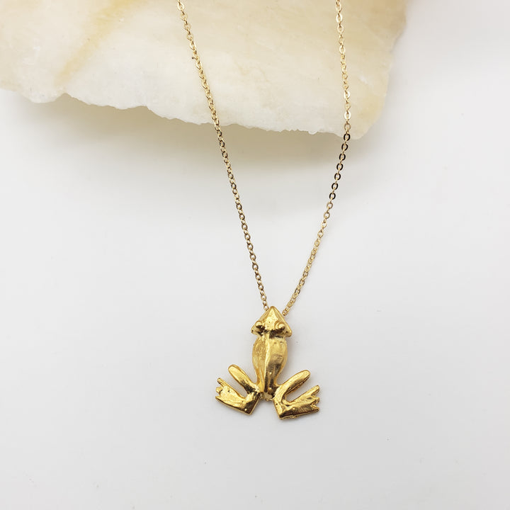 Pre-Columbian Frog Pendant