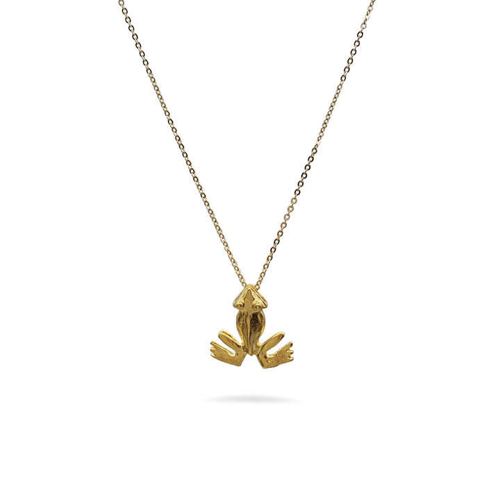 Pre-Columbian Frog Pendant