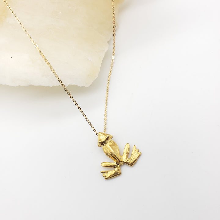 Pre-Columbian Frog Pendant